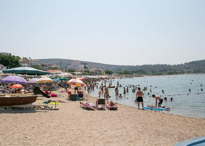 Διαμέρισμα Elvetia *